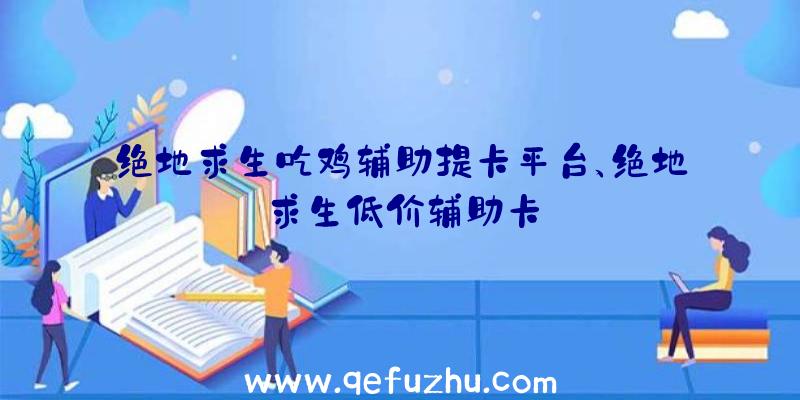 绝地求生吃鸡辅助提卡平台、绝地求生低价辅助卡