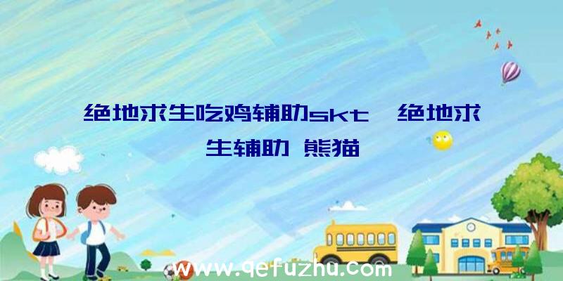 绝地求生吃鸡辅助skt、绝地求生辅助