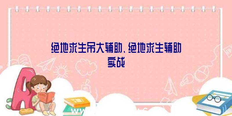 绝地求生吊大辅助、绝地求生辅助实战