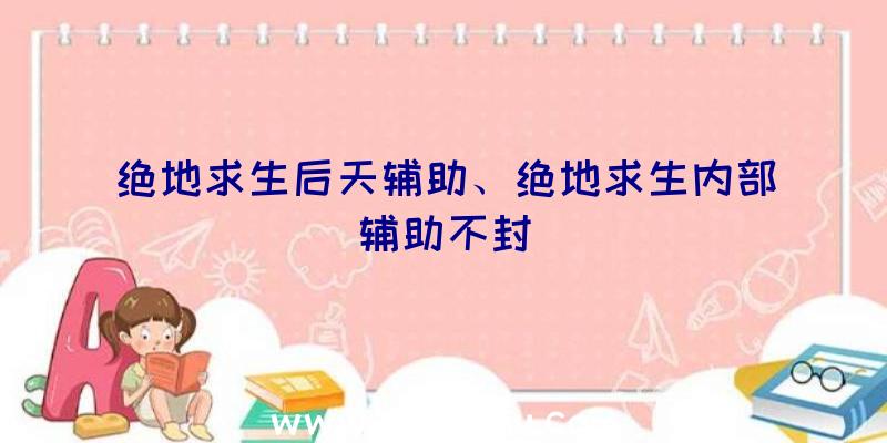 绝地求生后天辅助、绝地求生内部辅助不封