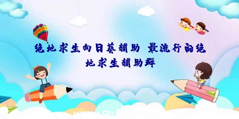 绝地求生向日葵辅助、最流行的绝地求生辅助群