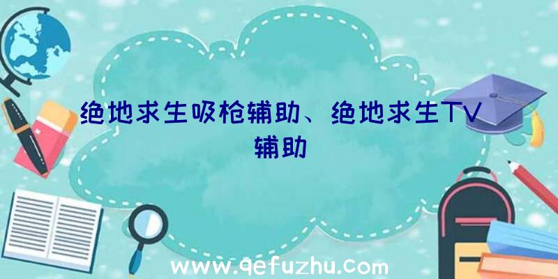 绝地求生吸枪辅助、绝地求生TV辅助