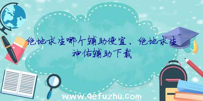 绝地求生哪个辅助便宜、绝地求生神佑辅助下载