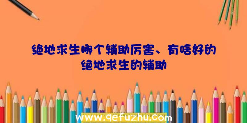 绝地求生哪个辅助厉害、有啥好的绝地求生的辅助