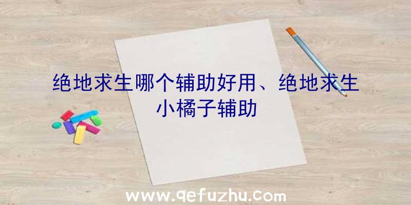 绝地求生哪个辅助好用、绝地求生小橘子辅助