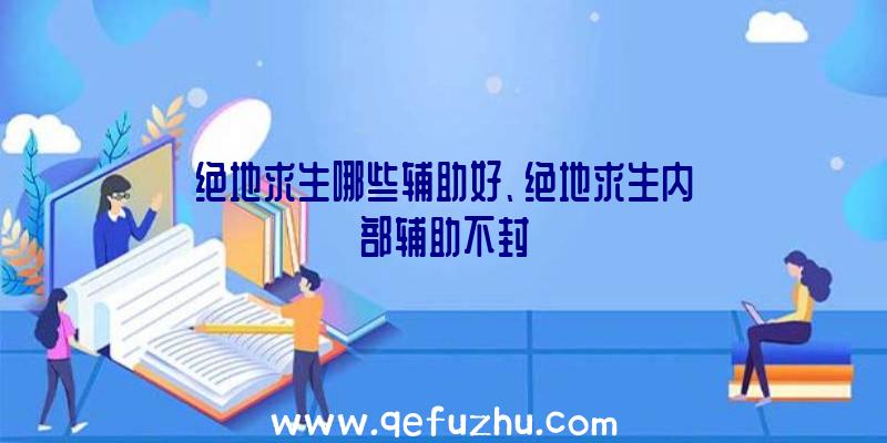 绝地求生哪些辅助好、绝地求生内部辅助不封