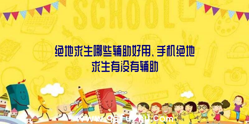 绝地求生哪些辅助好用、手机绝地求生有没有辅助