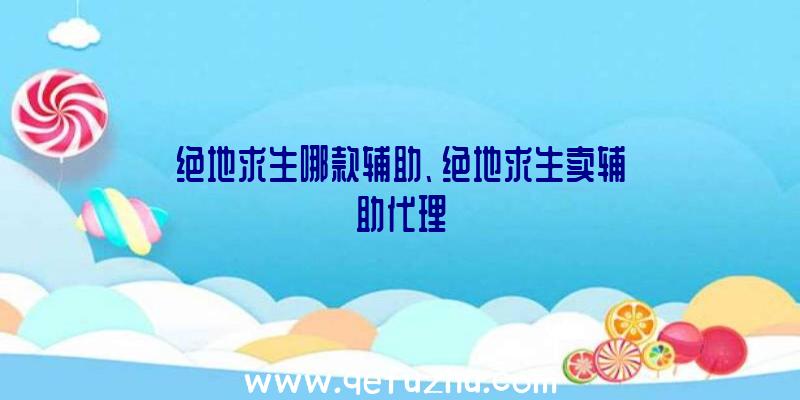 绝地求生哪款辅助、绝地求生卖辅助代理