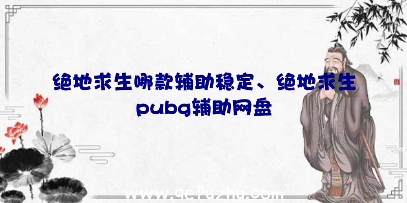 绝地求生哪款辅助稳定、绝地求生pubg辅助网盘