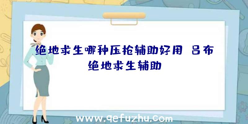 绝地求生哪种压枪辅助好用、吕布绝地求生辅助