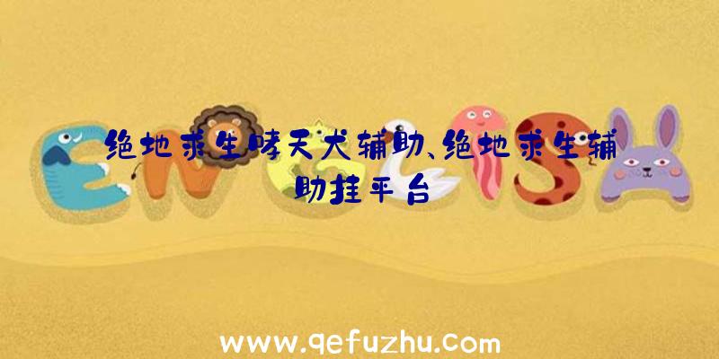 绝地求生哮天犬辅助、绝地求生辅助挂平台