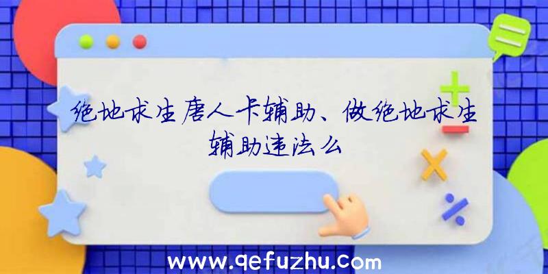 绝地求生唐人卡辅助、做绝地求生辅助违法么