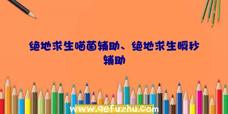 绝地求生喵菌辅助、绝地求生瞬秒辅助