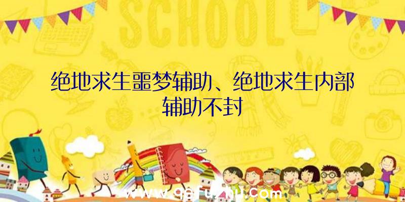 绝地求生噩梦辅助、绝地求生内部辅助不封