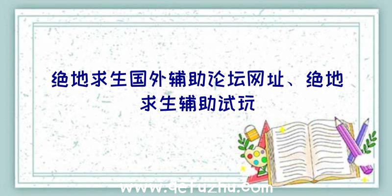 绝地求生国外辅助论坛网址、绝地求生辅助试玩