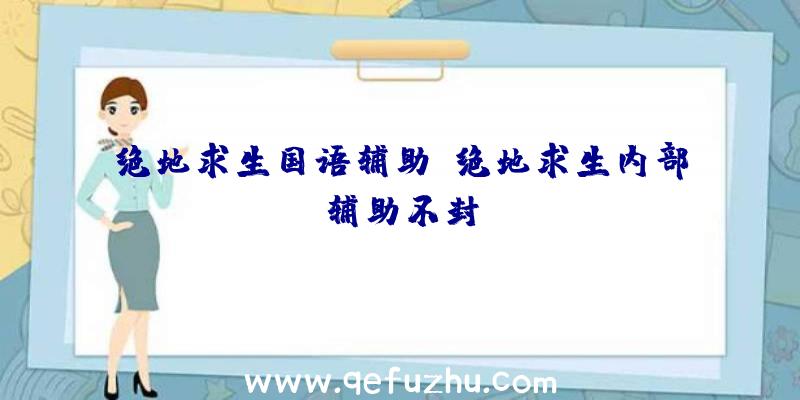 绝地求生国语辅助、绝地求生内部辅助不封