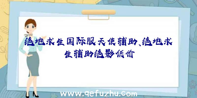 绝地求生国际服天使辅助、绝地求生辅助绝影低价