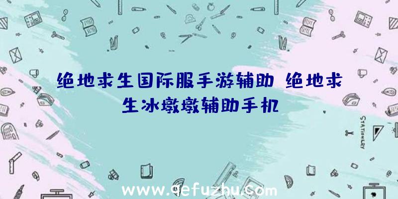 绝地求生国际服手游辅助、绝地求生冰墩墩辅助手机