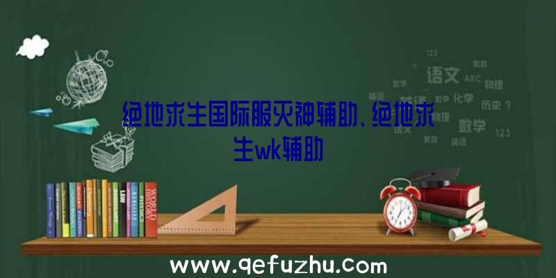 绝地求生国际服灭神辅助、绝地求生wk辅助