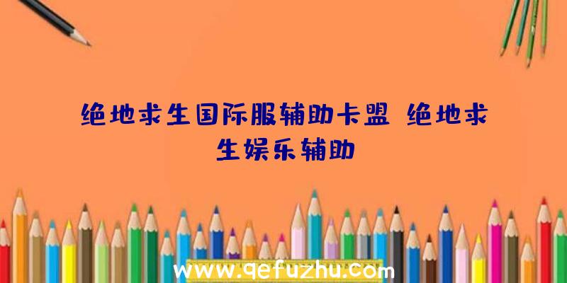 绝地求生国际服辅助卡盟、绝地求生娱乐辅助