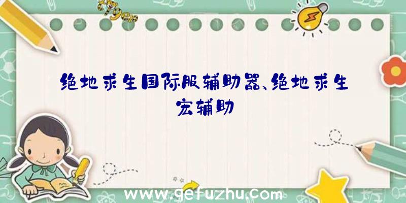 绝地求生国际服辅助器、绝地求生宏辅助