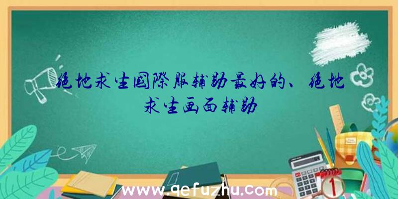 绝地求生国际服辅助最好的、绝地求生画面辅助