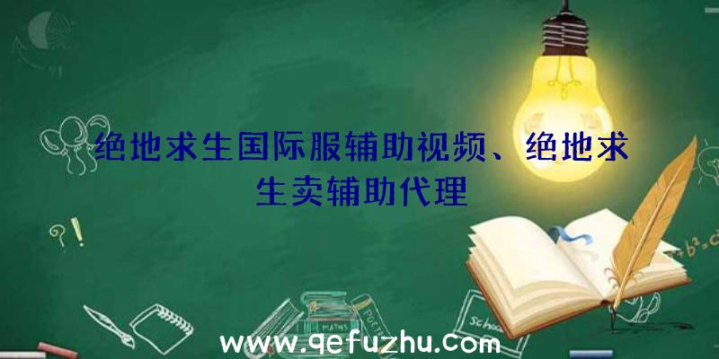 绝地求生国际服辅助视频、绝地求生卖辅助代理