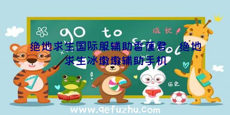 绝地求生国际服辅助香蕉君、绝地求生冰墩墩辅助手机