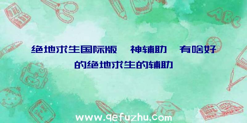 绝地求生国际版噬神辅助、有啥好的绝地求生的辅助