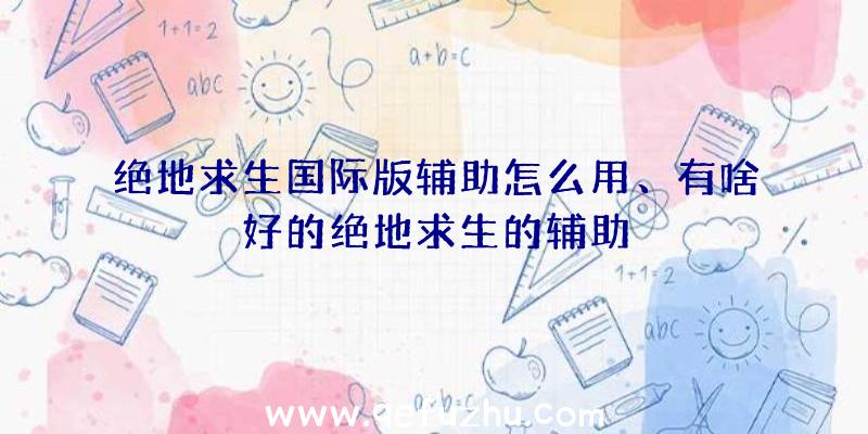 绝地求生国际版辅助怎么用、有啥好的绝地求生的辅助