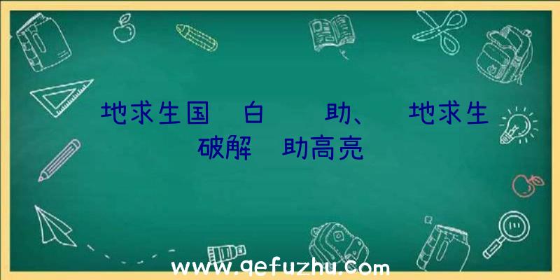 绝地求生国际白鹤辅助、绝地求生破解辅助高亮