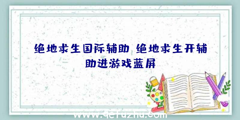 绝地求生国际辅助、绝地求生开辅助进游戏蓝屏