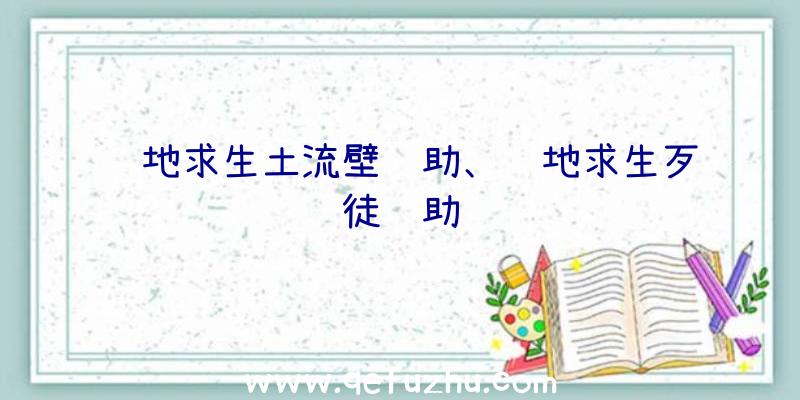 绝地求生土流壁辅助、绝地求生歹徒辅助