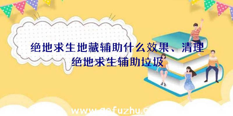 绝地求生地藏辅助什么效果、清理绝地求生辅助垃圾