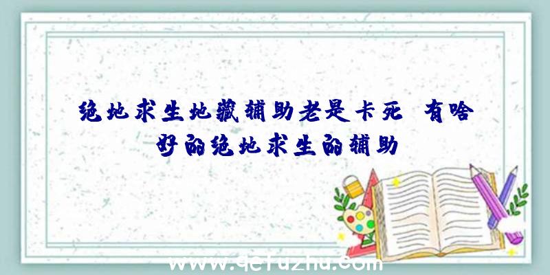 绝地求生地藏辅助老是卡死、有啥好的绝地求生的辅助