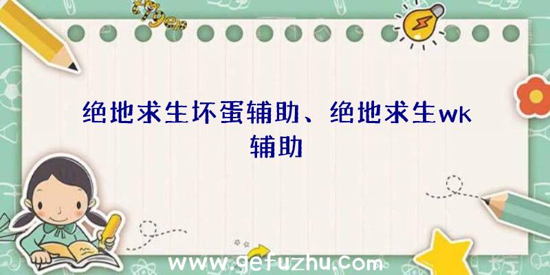 绝地求生坏蛋辅助、绝地求生wk辅助