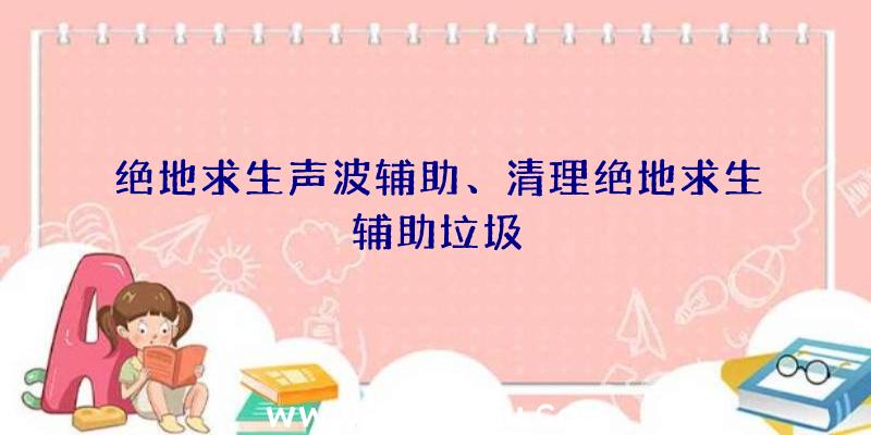 绝地求生声波辅助、清理绝地求生辅助垃圾