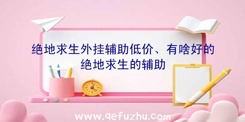 绝地求生外挂辅助低价、有啥好的绝地求生的辅助