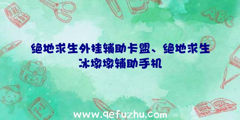 绝地求生外挂辅助卡盟、绝地求生冰墩墩辅助手机