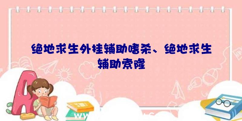 绝地求生外挂辅助嗜杀、绝地求生辅助索隆