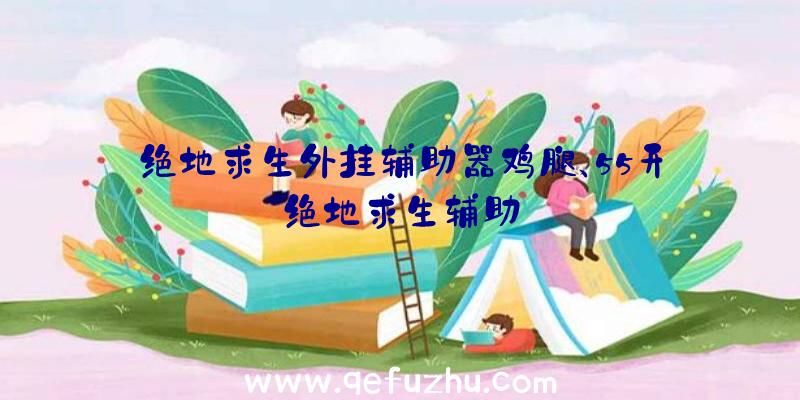 绝地求生外挂辅助器鸡腿、55开绝地求生辅助