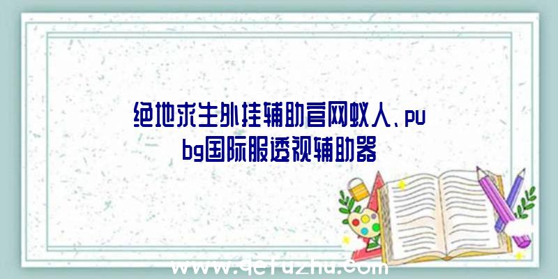 绝地求生外挂辅助官网蚁人、pubg国际服透视辅助器