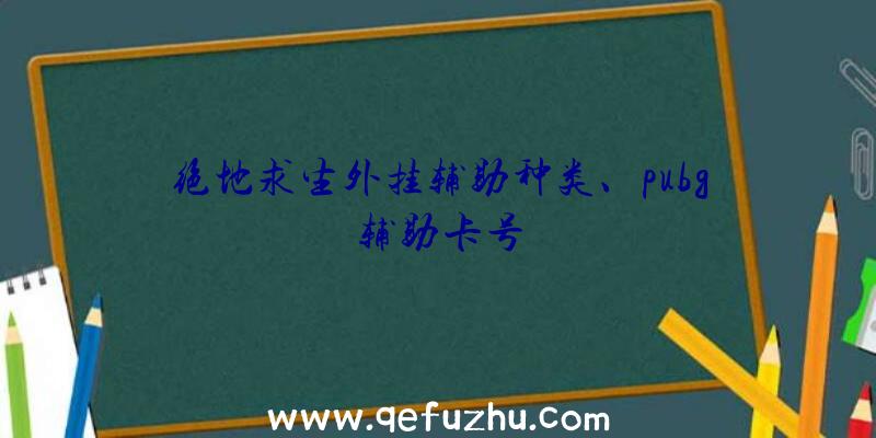 绝地求生外挂辅助种类、pubg辅助卡号