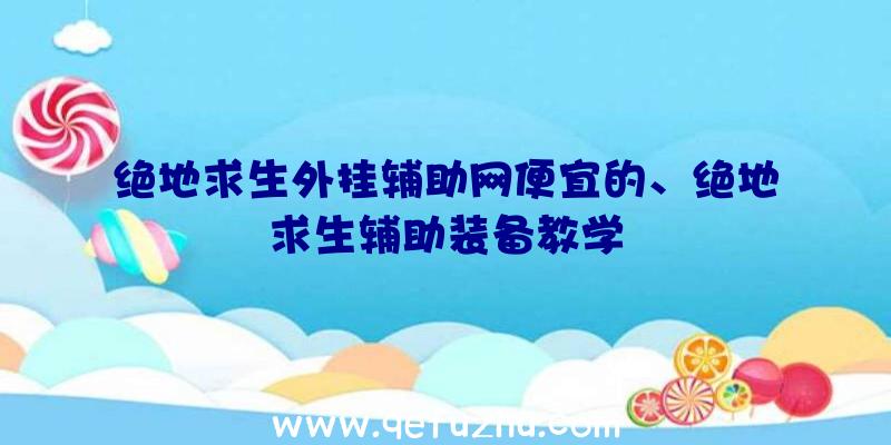 绝地求生外挂辅助网便宜的、绝地求生辅助装备教学