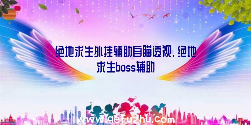 绝地求生外挂辅助自瞄透视、绝地求生boss辅助