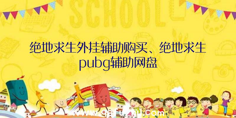 绝地求生外挂辅助购买、绝地求生pubg辅助网盘