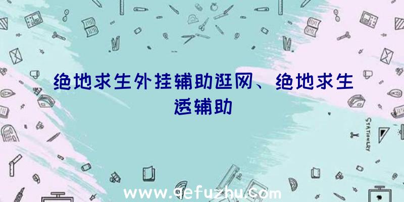 绝地求生外挂辅助逛网、绝地求生透辅助