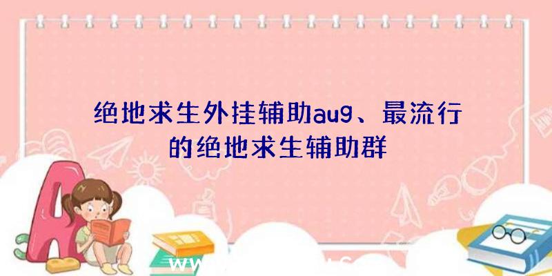 绝地求生外挂辅助aug、最流行的绝地求生辅助群