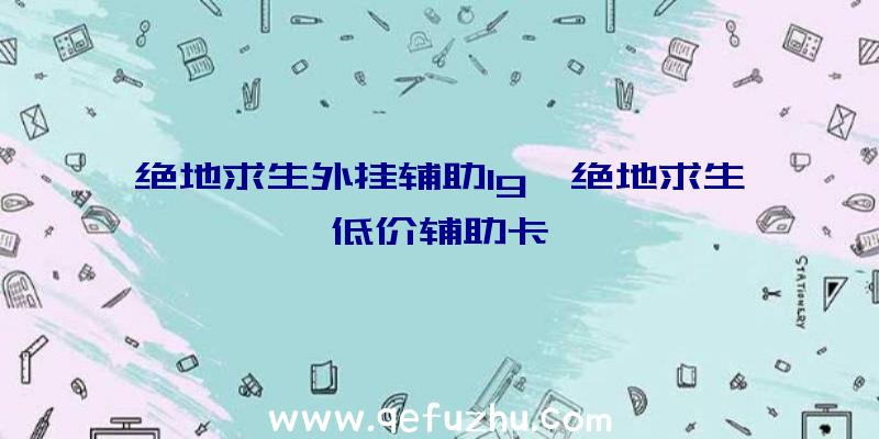 绝地求生外挂辅助lg、绝地求生低价辅助卡