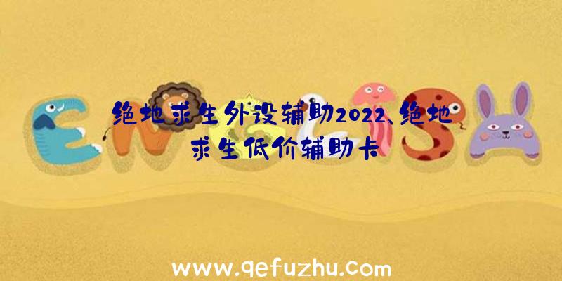 绝地求生外设辅助2022、绝地求生低价辅助卡